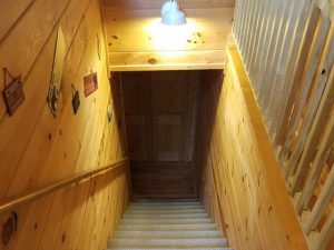 bearific-cabin-8b