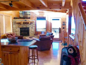 bearly-a-care-cabin-3