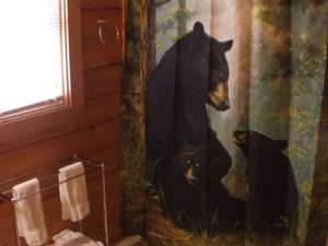 bearly-escape-cabin-11