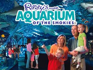 ripleys-aquarium2